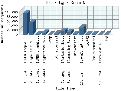 File Type Report: Number of requests by File Type.