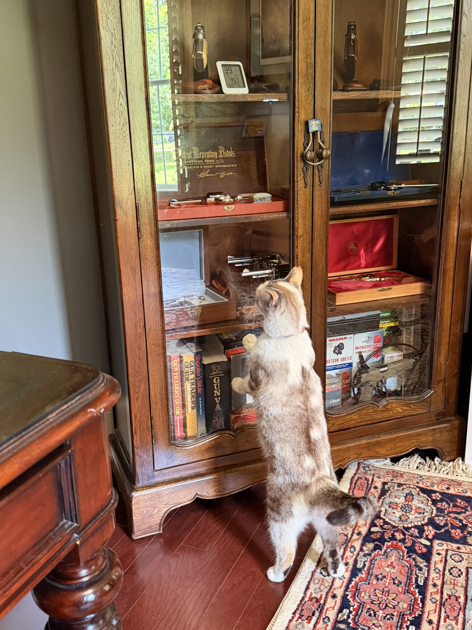 my firearms inspector, hard at work
