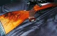 Colt Sauer 30 06 rifle