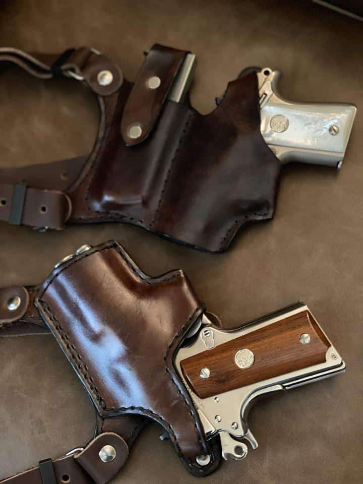 shoulder holster accomodates two guns