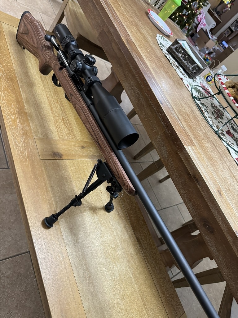 Savage Model 25 rifle detail