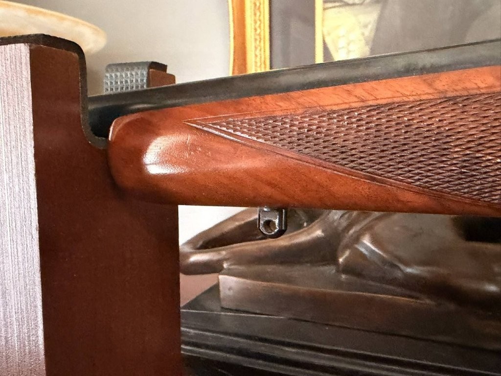 Savage Model 99 forearm and walnut grain examined for originality and collector value