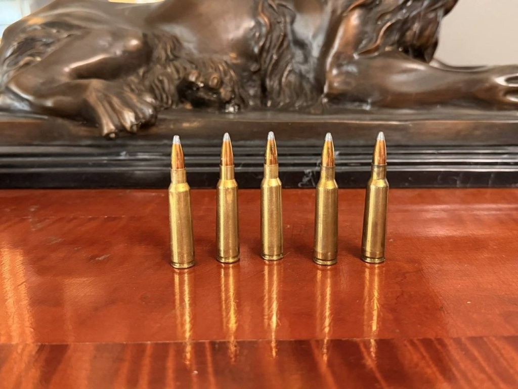 Close-up of a Savage Model 99 lever-area safety and receiver