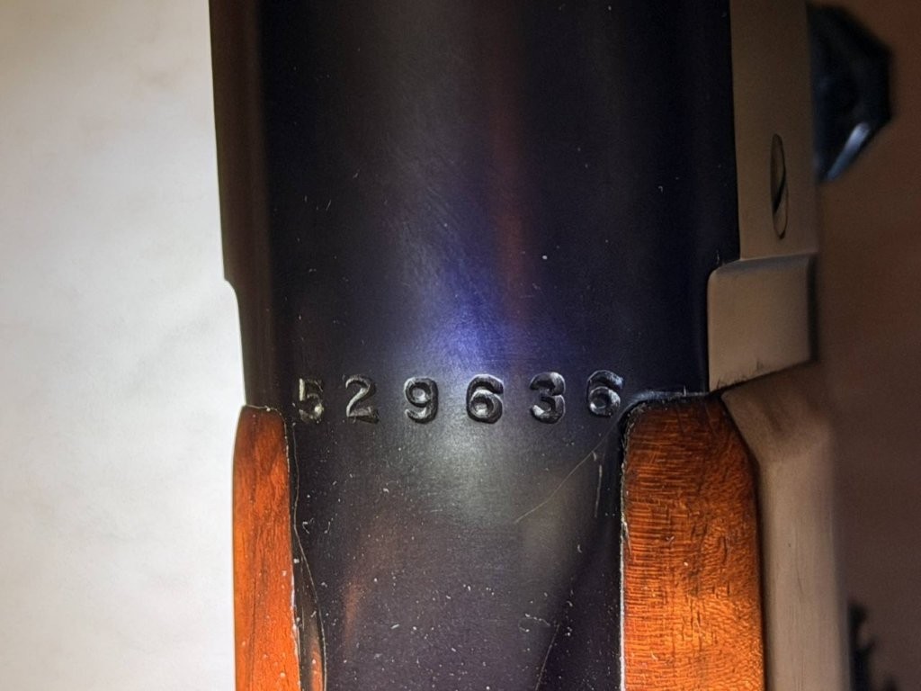 Close-up of Savage Model 99 serial number and identification markings