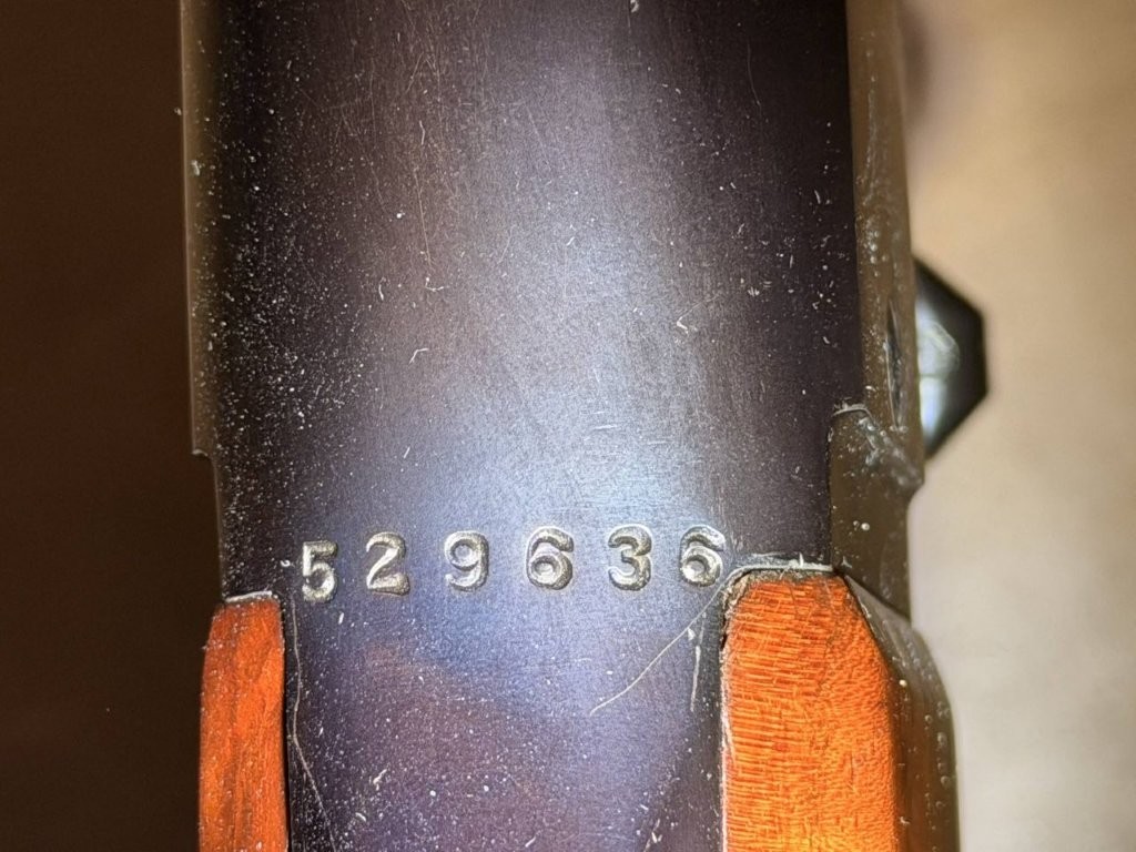 Close view of Savage Model 99 lever and receiver markings