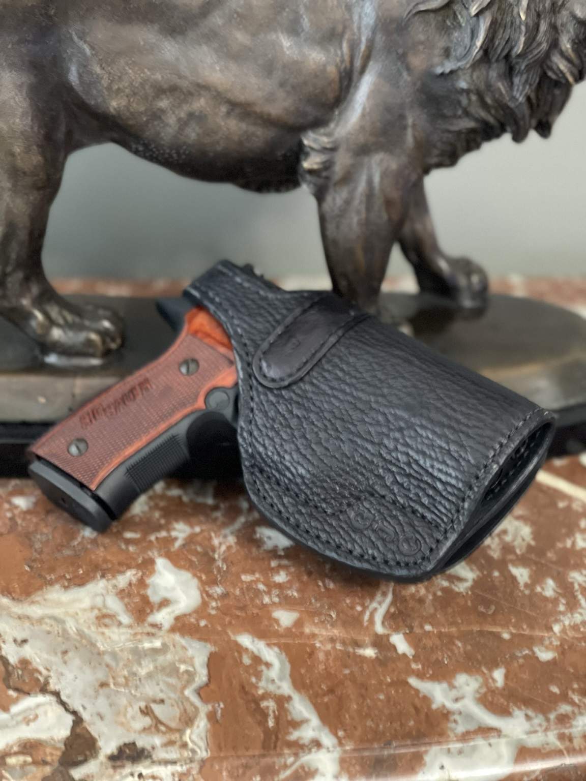 Sig in a Paddle Holster