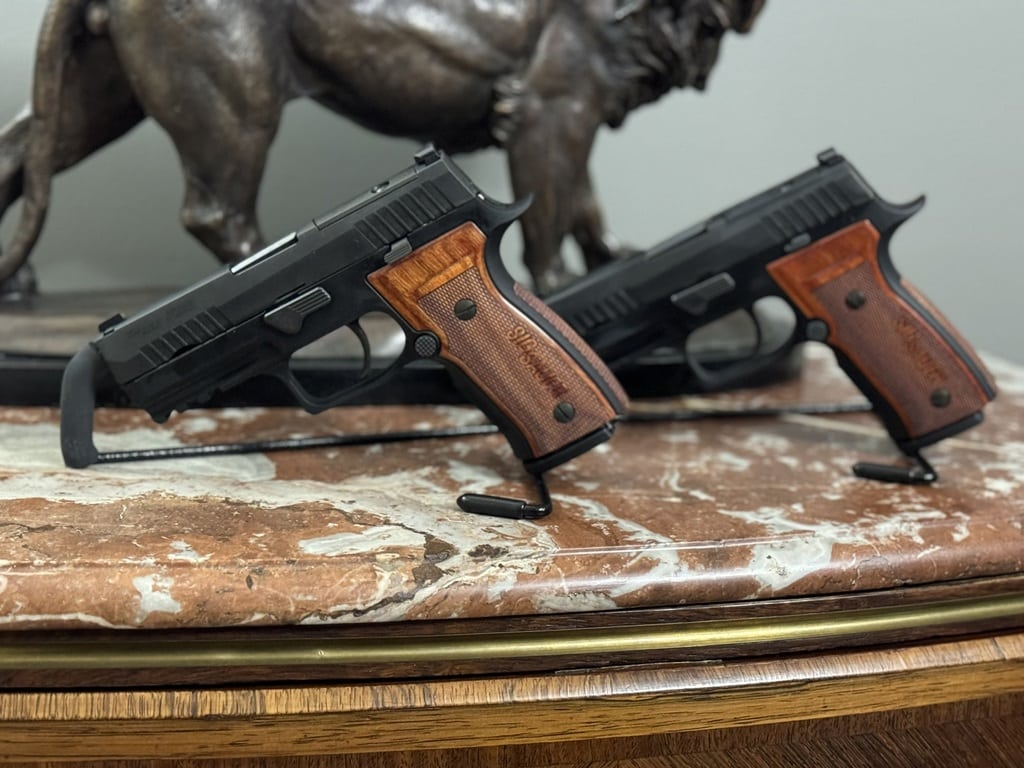 two identical guns